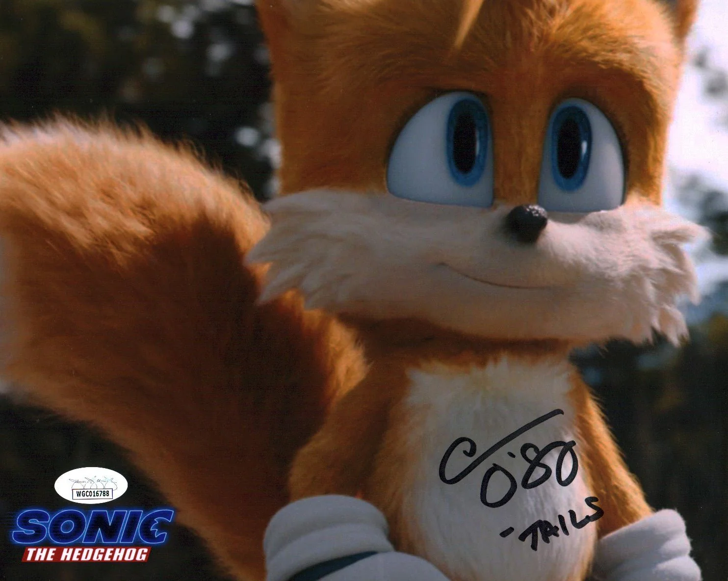 Thumbnail 1